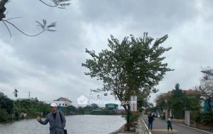 Bán 101m² Đất Quán Trạch Văn Giang, Ô Tô Đỗ Cửa, Gần Ecopark, Giá đầu tư 3xtr/m