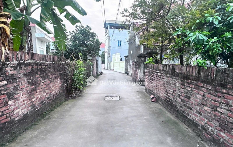 Bán 124m² Đất Kim Ngưu Văn Giang Mặt Tiền 8,9m, Ô Tô, Giá đầu tư 1